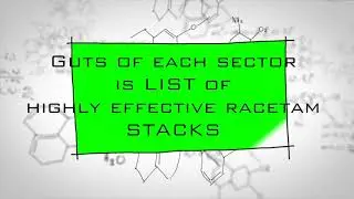 The Ultimate Breakdown of ALL Racetam Nootropics (God Guide)