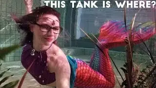Mermaid Tank Performance by Nerdmaid Faith
