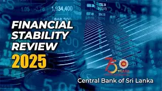 Financial Stability Review - 2025