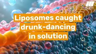 How neutrons help understand the industrial production of therapeutic molecules