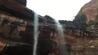 Zion 9