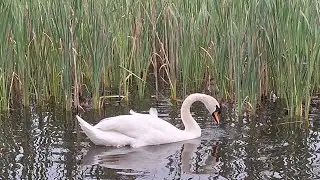 Dunmanway Co. Cork Ireland Travelvlog 2024