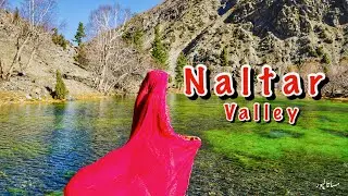 Naltar Valley Gilgit Baltistan | Satrangi Lake , Blue Lake & Pari Lake | Misa Talpur