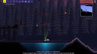 Terraria PL