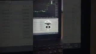 Fastest Scalper EA Bot in the World ! 🚀
