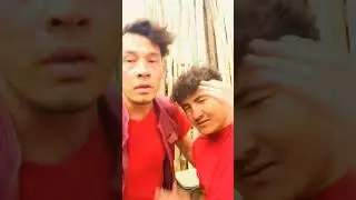 try not to laugh baseball challenge TikTok #shorts