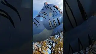Derpy the Tiger del personaje Jinu en desfile de acci&oacute;n de gracia en New York