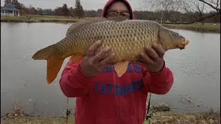 Carp Fishing High Park Derby Kansas 11/20/25