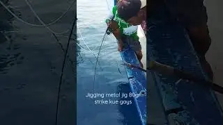 MANCING teknik jigging dengan metal jig 80gr strike kue.. #mancing #fishing #gianttravely