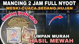 UMPAN HEMAT HASIL NIKMAT ....‼️ Mancing Ikan Mas Malam Hari Cuaca Hujan