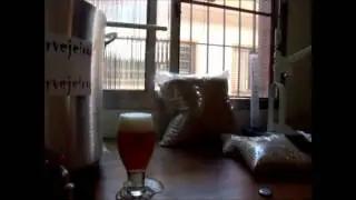 gr&atilde;o cervejeiro/falsa trapista