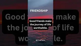 A true friend is a treasure worth more than gold... #shorts #friendship #friends