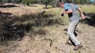 Austin Photographing Black Headed Python by Amy