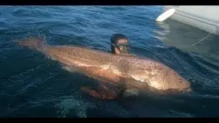 Oléron fin Aout 2018