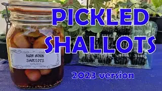 Pickled Shallots - MAXIMUM CRUNCH!
