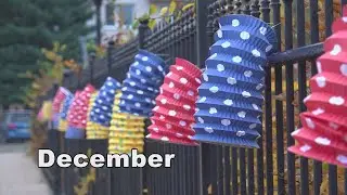 Zostrih TV SEN - december 2025