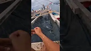 🔥 Strike Ganas! Mancing Dasaran Dapat GT Monster di Laut Lepas! 🎣 #kehidupannelayan #fishing