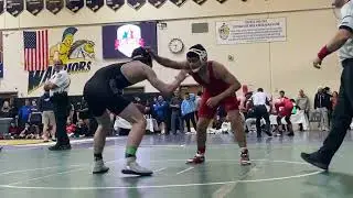 Live Greco 2026