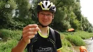 Schwarzwald - unterwegs mit einem Franzosen | Hin & weg