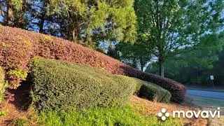 Georgia .Atlanta. 2021 . Вокруг Атланты. Апрель.