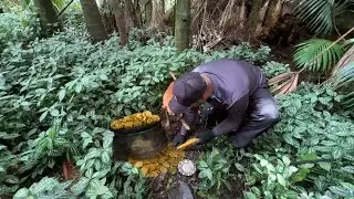 Em Busca do Pote de Ouro Perdido na Floresta!