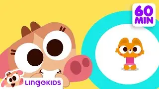 Who Took the Cookie ?🔎 🍪  + More Nursery Rhymes for Kids | Lingokids