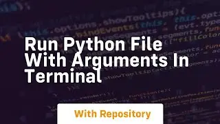 run python file with arguments in terminal