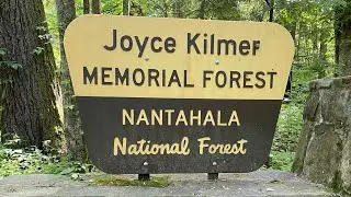 Joyce Kilmer Memorial Forest, Nantahala National Forest, Robbinsville, North Carolina