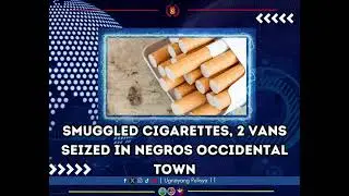 Smuggled cigarettes, 2 vans seized in Negros Occidental town