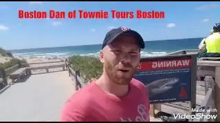Cape Cod 