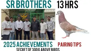 SR BROTHERS part 2 pairing tips ,techniques and achievements ￼