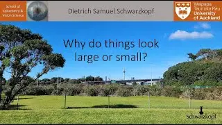 Cog Neuro Hub August Roundtable: Dr Sam Schwarzkopf