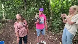 Mona monkeys at Tafi Atome Monkey Sanctuary pt. 2