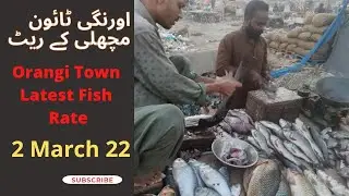 Fish Rates Today | Orangi Town Fish Market | #fish #rates #karachi