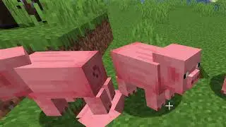 Checking out the new baby animals snapshot