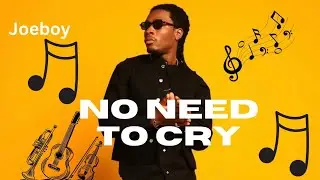 Joeboy - No Need To Cry (Lyrics Video)