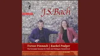 Violin Sonata No. 3 in E Major, BWV 1016: I. Adagio