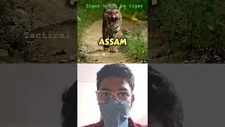No one can beat  tiger #history #tamil #shortsfeed #collab