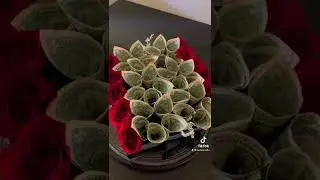Follow me on TikTok #gifts #money #shorts #crafts #bella #flowers #Bella Crafts￼