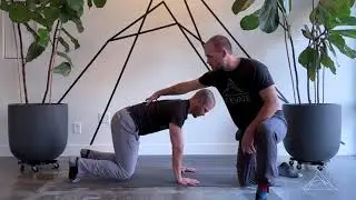 Bear Hold