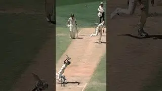 India vs Australia: The Pink Ball Test Battle! 🌙