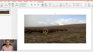 How to Add & Edit Alt Text in PowerPoint Presentations