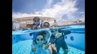 Dream Cruises Activities Highlights