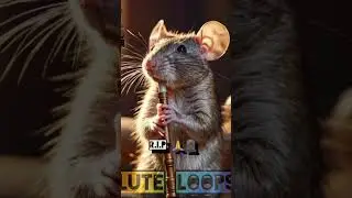 Flute Loops, the diss deemed too hard for streaming services is back online. #hiphop #rap #diss