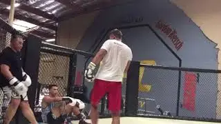 Tibor Nagy vs. Ray Sefo (Sparring Highlights)