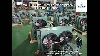 BITZER condensing unit