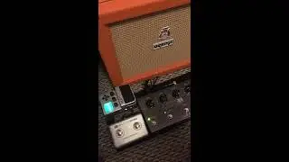 Ditto x4 + Beatbuddy Jam