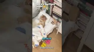 Gen Z cat 😂😂😂This cat lives like a real soft queen 😂📱🍿