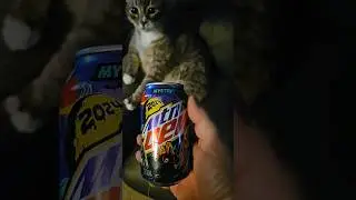 MTN DEW: VooDew 2024 Edition [] Mystery Flavor [] A KILR Taste Test