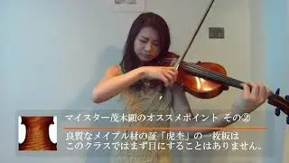 マイスター推奨バイオリン！GEWA「Meister Violin Set」